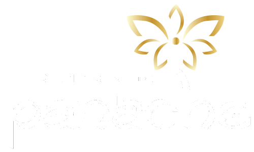 Panache-The Desi Creations logo