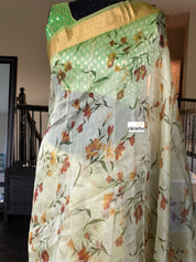 Banarasi Organza Floral - Light Green Golden Border