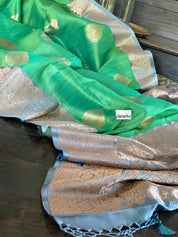 Tussar Silk Banarasi - Green Grey