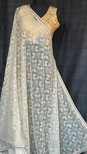 Designer Georgette Net - Beige