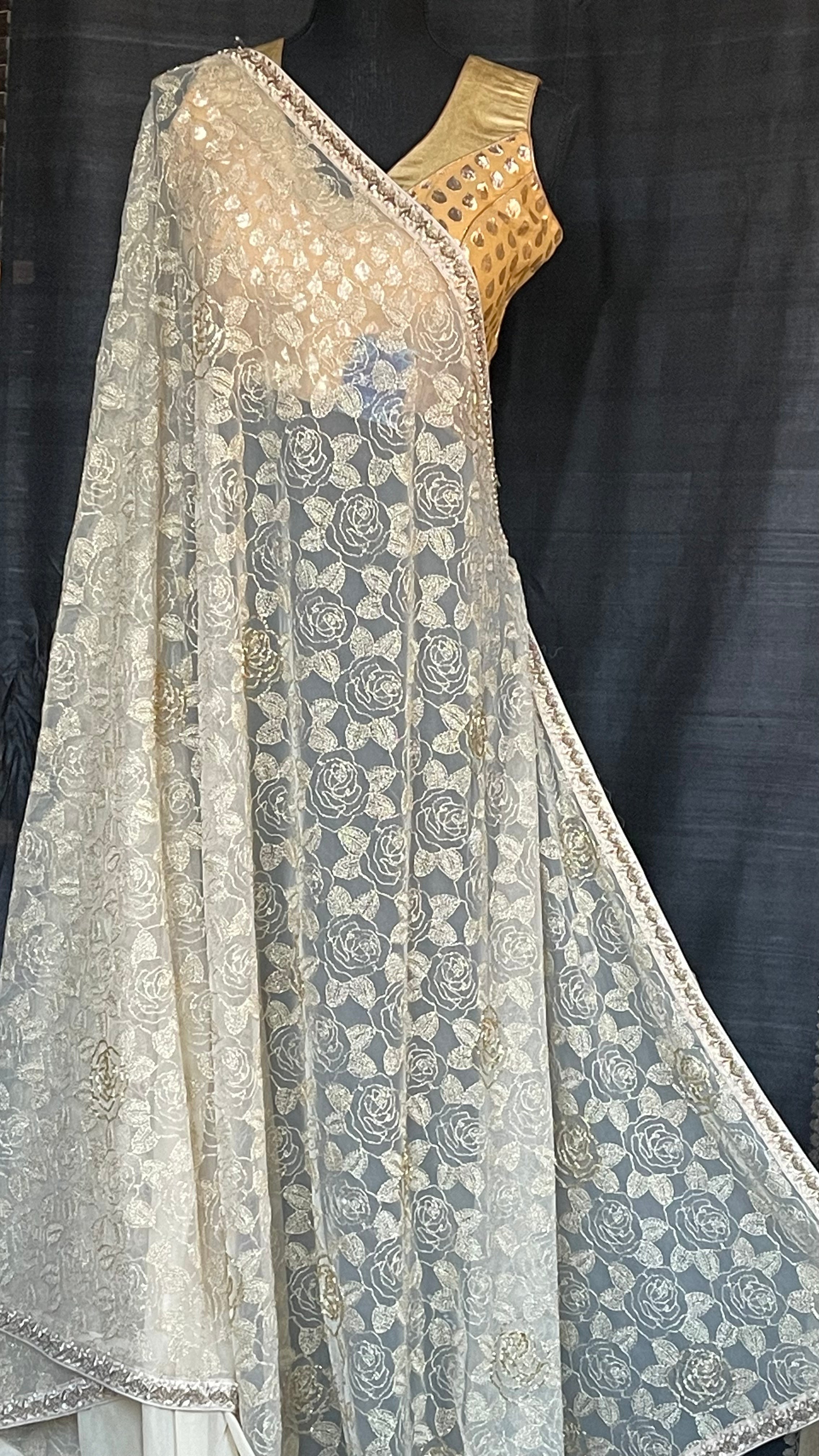 Designer Georgette Net - Beige