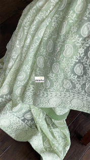 Designer Georgette Chikankari - Light Pista Paisley