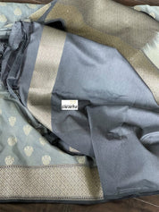 Soft Silk Banarasi - Silver Grey
