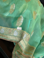 Organza Silk Banarasi - Light Green Kadwa Woven