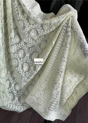 Designer Georgette Chikankari - Light Pista Paisley