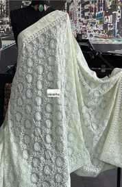 Designer Georgette Chikankari - Light Pista Paisley