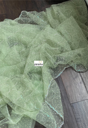 Designer Organza -  Pista Green Hand Embroidered