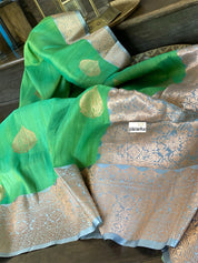 Tussar Silk Banarasi - Green Grey
