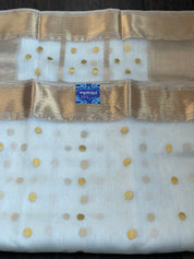 Pure Chanderi Organza Silk - Off White Iknaliya