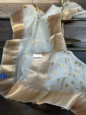 Pure Chanderi Organza Silk - Off White Iknaliya