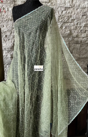 Designer Organza -  Pista Green Hand Embroidered