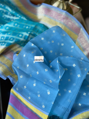 Organza Silk Banarasi - Blue Checkered