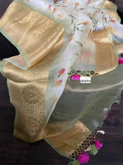 Banarasi Organza Floral - Light Green Golden Border