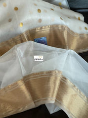 Pure Chanderi Organza Silk - Off White Iknaliya