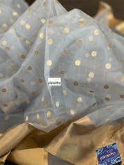 Chanderi Organza Silk - Silver Gray Eknalya woven