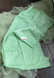 Designer Organza -  Pista Green Hand Embroidered