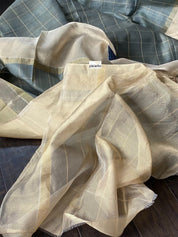 Tassur by Tissue Silk Banarasi - Grey Golden