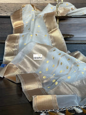 Pure Chanderi Organza Silk - Off White Iknaliya