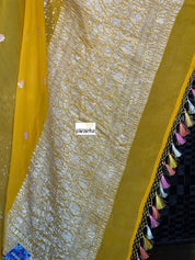 Khaddi Georgette Banarasi - Yellow Red Khadhua Woven