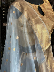 Pure Chanderi Organza Silk - Off White Iknaliya