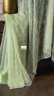Designer Organza -  Pista Green Hand Embroidered