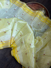 Pure Chanderi Pattu Silk - Off White Yellow