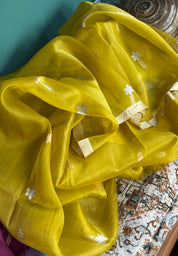 Pure Kora Silk Banarasi - Ochre Green Kadhua