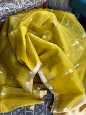 Pure Kora Silk Banarasi - Ochre Green Kadhua