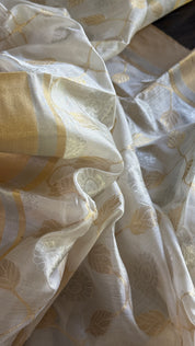 Pure Chanderi Pattu Silk - Off White Jaal woven