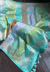 Pure Silk Rangkat Banarasi - Multi shaded