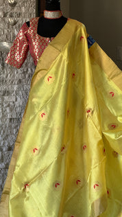 Pure Chanderi Silk - Yellow Red Eknaliya Woven