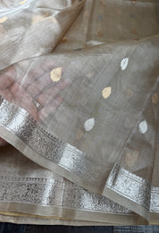 Tissue Organza Silk Banarasi - Light Tan