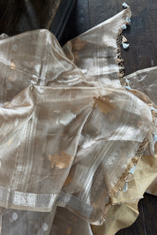 Tissue Organza Silk Banarasi - Light Tan