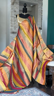 Chanderi Tissue Silk - Multi Color woven Rangkat