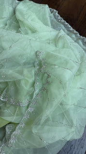 Designer Organza - Mint Leheriya
