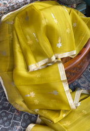 Pure Kora Silk Banarasi - Ochre Green Kadhua