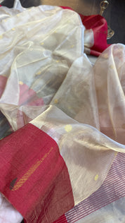 Pure Chanderi Tissue Silk - Golden Woven Munia Border