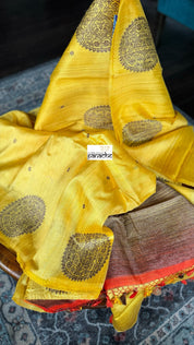 Pure Tussar Silk Banarasi - Yellow Kadwa