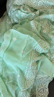 Designer Geogette Chikankari - Mint Green