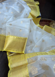 Pure Chanderi Organza Silk - Off White Yellow Iknaliya