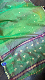Pure Chanderi Organza Silk - Green Purple Shaded