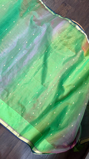 Pure Chanderi Organza Silk - Green Purple Shaded