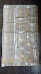 Tissue Organza Silk Banarasi - Light Tan