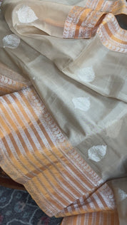 Organza Silk Banarasi - Tan Beige Orange Kadwa Motifs