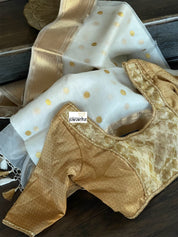 Pure Chanderi Organza Silk - Off White Iknaliya