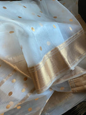 Pure Chanderi Organza Silk - Off White Iknaliya