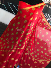 Designer Bandhani Georgette - Red Green