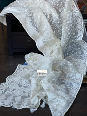Designer Organza - Ivory White Embroidered