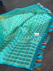 Organza Silk Banarasi - Pista Green Firozi