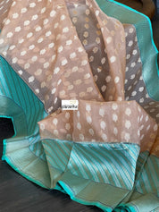 Organza Silk Banarasi - Light Peach Sea Green Antique Zari